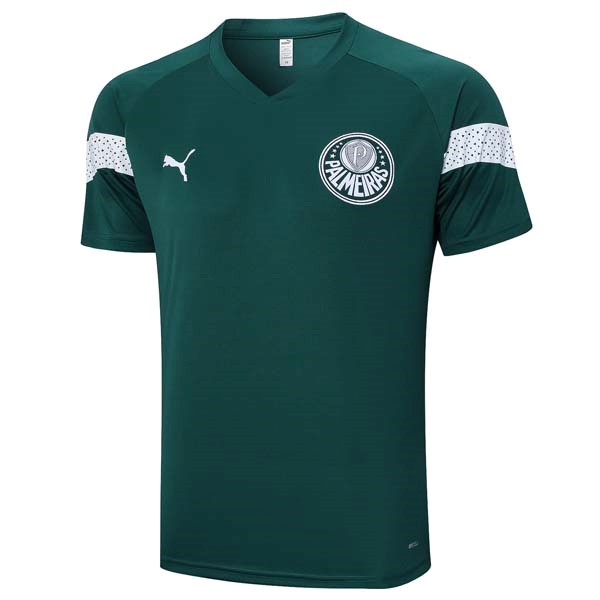 Camiseta Entrenamiento Palmeiras 2023-2024 Verde
